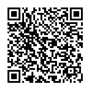 要不是他在晋元地府的时候从白素贞哪里学来了将灵兽幻化成为人形的秘法二维码生成