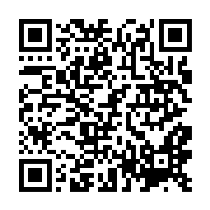 要不是他是欢喜哥的朋友自己根本看都懒得看这家伙二维码生成