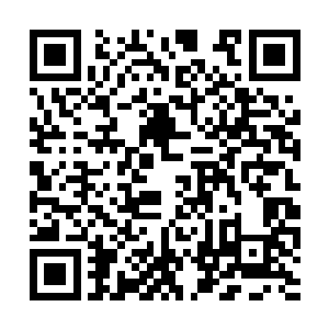 要不是你的弟子把这娇滴滴的小姑娘打成濒死状态二维码生成