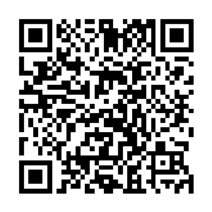 要不是先前的事情龙傲天或许也会被这个人的外表欺骗了二维码生成