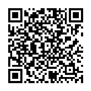 要不是刚才李斯帆吸引了白知恩的绝大多数注意力二维码生成