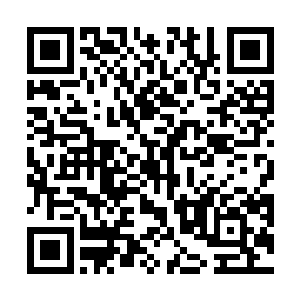 要不是天仙星巢出动需要特殊微量元素来维持天界生态二维码生成