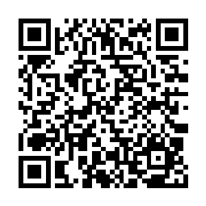 要不是孔雀妖圣和数十名妖皇境妖禽围绕着光蛹二维码生成