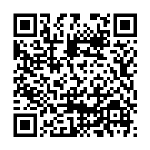 要不是想彻底还了风暮寒之前在林中救了她跟苍兰的人情二维码生成