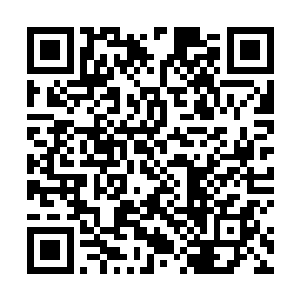 要不是我们先发现了他们才巢穴只怕还不会留意到他们二维码生成