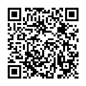 要不是我们的实力强大的话他们恐怕连看都不看我们一眼二维码生成
