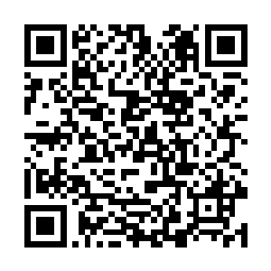 要不是我施展秘术能够观看到虚空中留下的过去之事二维码生成