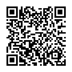 要不是持斧的侏儒老者上前挥动斧头挡下我的进攻二维码生成