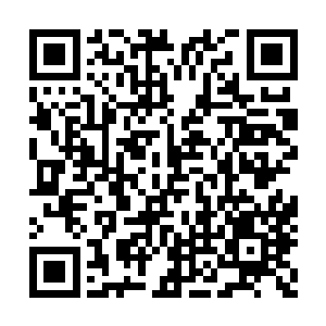 要不是方凌突如其来的打了白羽琪一个措手不及二维码生成