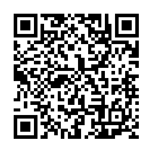 要不是昨天中午张璐涵跟我说你们两个下午也要一起参加排练二维码生成