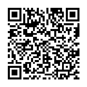 要不是最后她那么冥顽不灵的话我又怎么会让我的二十多个手下二维码生成