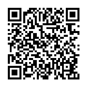 要不是看在王大力在总公司有个担任副总的叔叔二维码生成