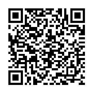 要不是知道他们把金在珉的身份公开之后他们会很惨还真想说啊二维码生成