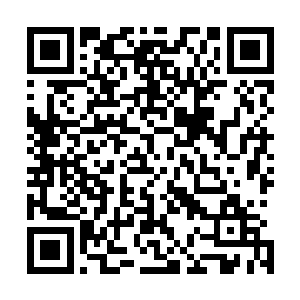 要不是自己的老爹说了那些话他能那么简单的放过石田佐吉二维码生成