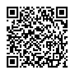 要不是这二百五的脾性也不会一般村子不敢养它二维码生成