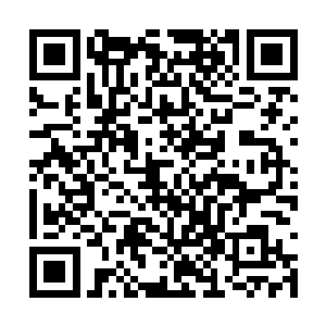 要不然一会上了飞机暂时就吃不到这么好吃的东西二维码生成