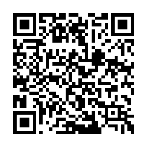 要不然一边赏菊一边吃蟹再一边听着辰儿的琴声二维码生成