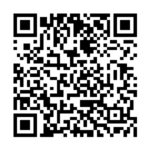 要不然下下个星期你们恐怕就要去医院探望我了二维码生成