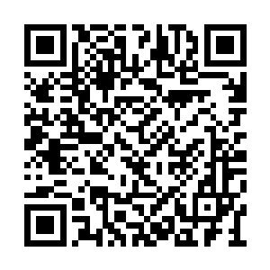 要不然为什么会把两个活人给放在箱子里给自己二维码生成