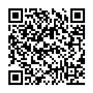 要不然为什么这个秋意瑟会突然出现在这个世界上二维码生成