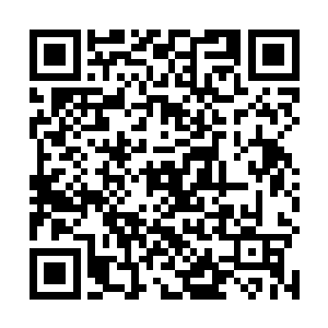 要不然也不会把她们两个人派出去执行这么重要的任务二维码生成
