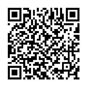 要不然也不会放弃了自己所學了那么多年的专业二维码生成
