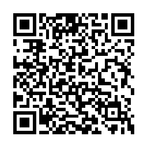 要不然也不会有青尊果……他们对兽修深恶痛绝二维码生成