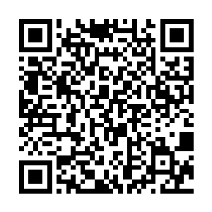 要不然也不可能将这么多大项目一下子全拉到西疆省二维码生成