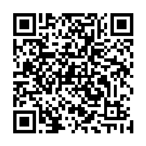 要不然今天十多个夫人看着她被夏守夫人跟洪夫人问个不停二维码生成