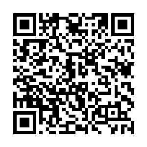 要不然以她爹地的冰冷性子又怎么会去接受那个女人二维码生成