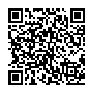 要不然去东京城抓一个作恶的西夏人或者一个看不顺眼的契丹人二维码生成
