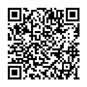 要不然夫人还以为是咱们觉得府上待咱们不周到二维码生成