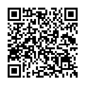 要不然她也不会将自己的幽心草的事情告诉他们二维码生成