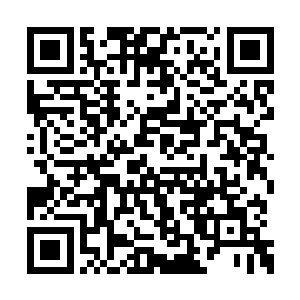 要不然就是放弃了熊熊燃烧的武库舰和星空母舰二维码生成