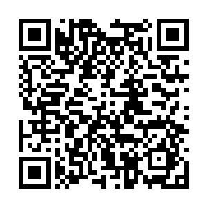 要不然我就真把两个小崽子送到爷爷奶奶那里去了二维码生成