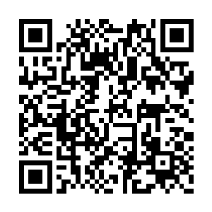 要不然我要把你丢粪坑或者吊上个十天半个月的二维码生成