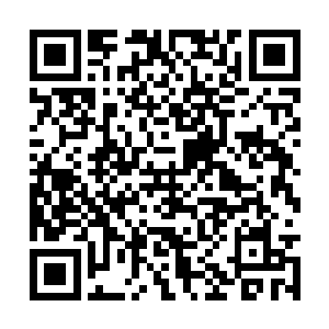 要不然最多几分钟司空符神主就会出现在风明城的二维码生成