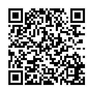 要不然正常情况下的妖兽现在早该在洞穴里躲起来了二维码生成