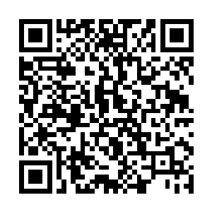 要不然现在的他也不可能成为东皇帝君统御四方势力二维码生成