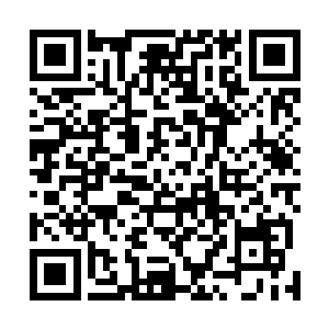 要不然白奇雪在说的时候也不会时不时转过头来冲雅文笑二维码生成