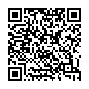 要不然的话等闲的人就算是顶级神高手也经受不住这一拳二维码生成