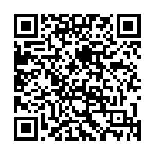 要不然莫小鱼也不会那么精准的知道自己什么时候去找他二维码生成