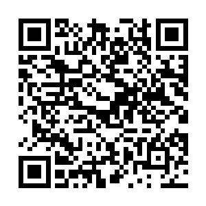 要不然这只照着鲸鱼早就和剧毒蛤蟆相亲相爱一家人了二维码生成