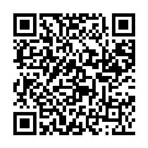 要不然这次派来的天使也不会对表哥这么客气了二维码生成