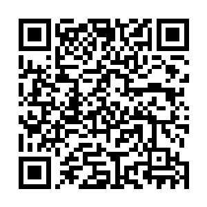要不然这黑客帝国的开机仪式就变成自己的新闻发布会了二维码生成