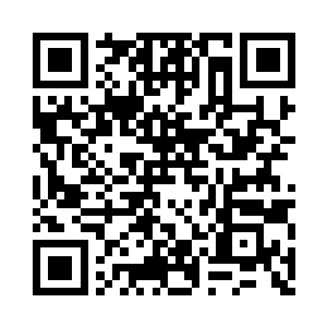 要不要姐姐我拿几个来给你对比对比二维码生成