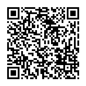 要不还是算了吧……一弘哥哥说他们的领队都是那个风萧萧带领他们完成的二维码生成