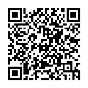 要么就是她有一些能大幅度提升精神力强度的宝物二维码生成