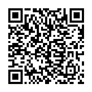 要么就是害怕我会打他的脸所以选择了退缩不竞价……嗯二维码生成