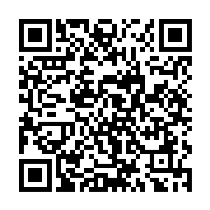 要么就是教授自信能在最快的时间内找到她并保护她二维码生成